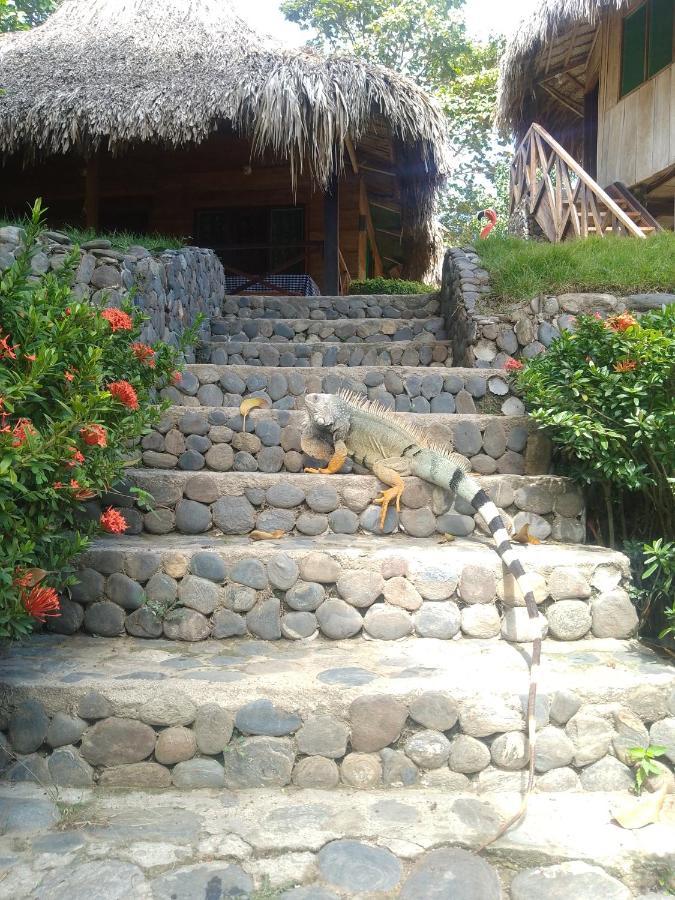 Ecocabanas Diosa Jaguar Tayrona La Esmeralda  Eksteriør bilde
