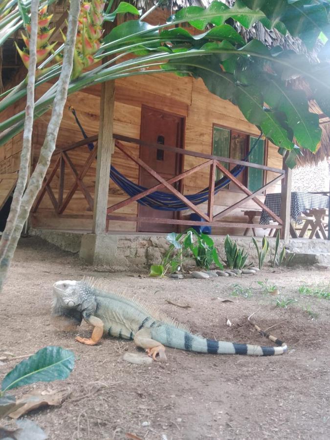 Ecocabanas Diosa Jaguar Tayrona La Esmeralda  Eksteriør bilde