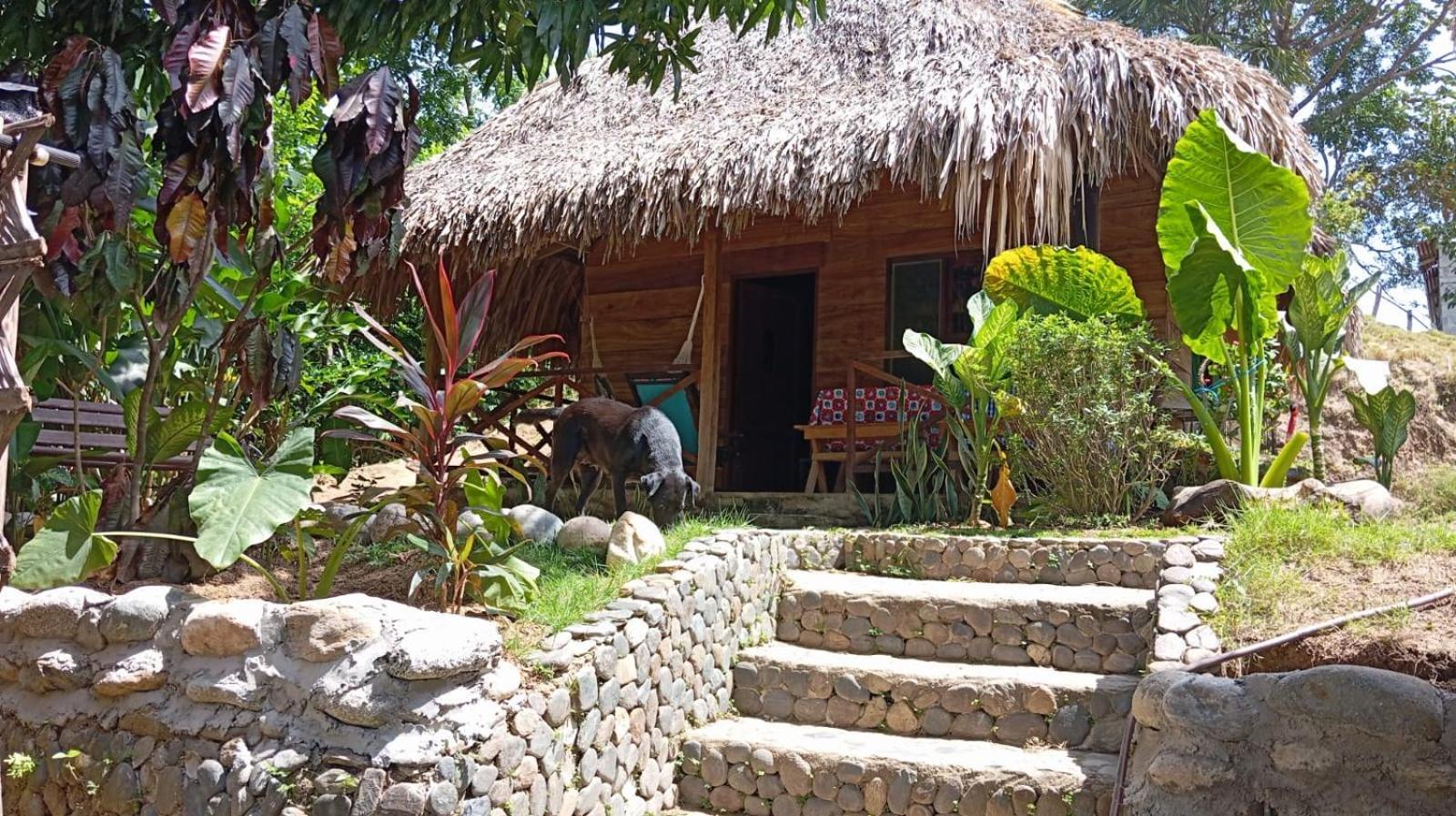 Ecocabanas Diosa Jaguar Tayrona La Esmeralda  Eksteriør bilde