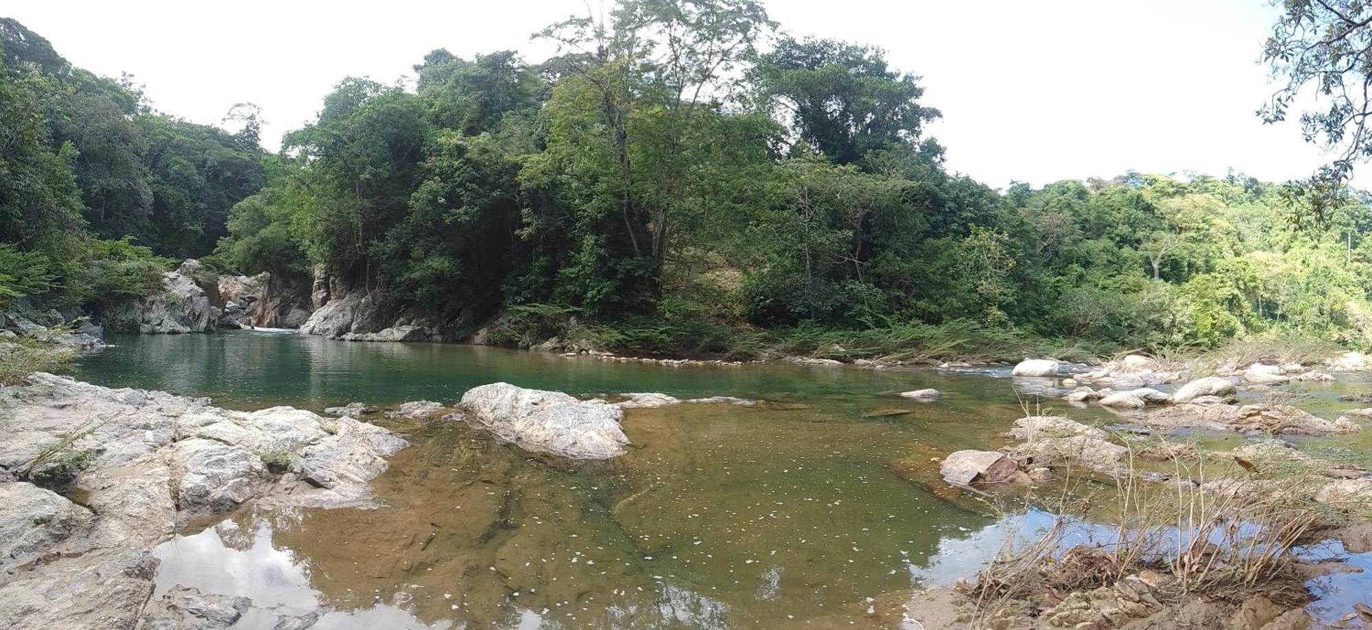 Ecocabanas Diosa Jaguar Tayrona La Esmeralda  Eksteriør bilde