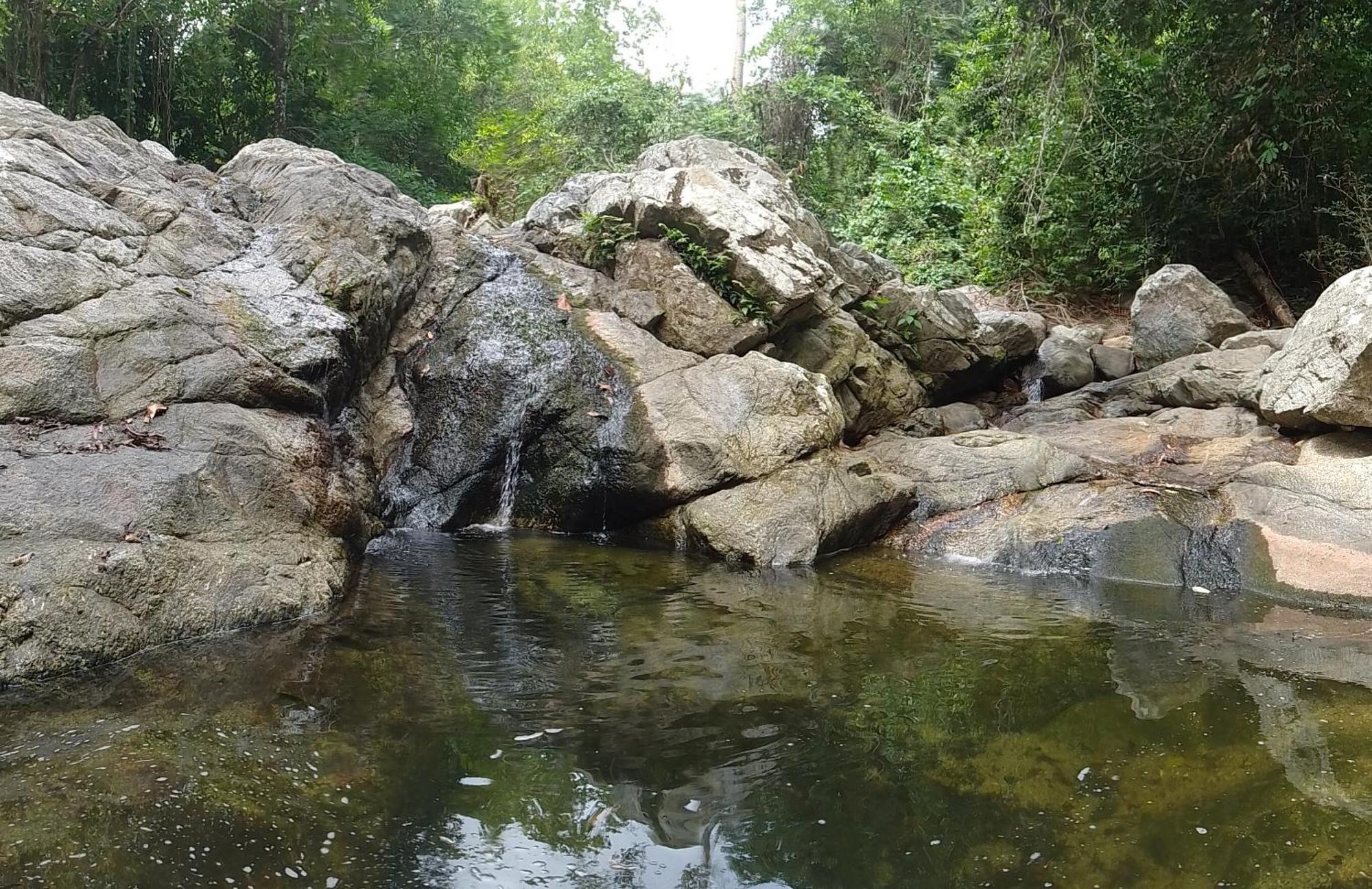 Ecocabanas Diosa Jaguar Tayrona La Esmeralda  Eksteriør bilde