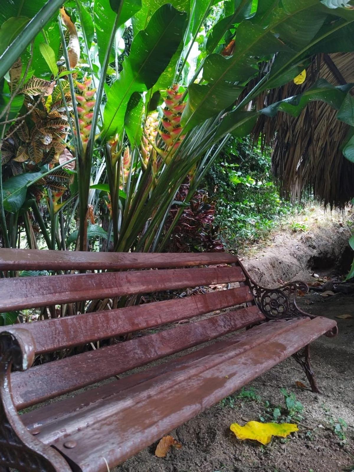 Ecocabanas Diosa Jaguar Tayrona La Esmeralda  Rom bilde