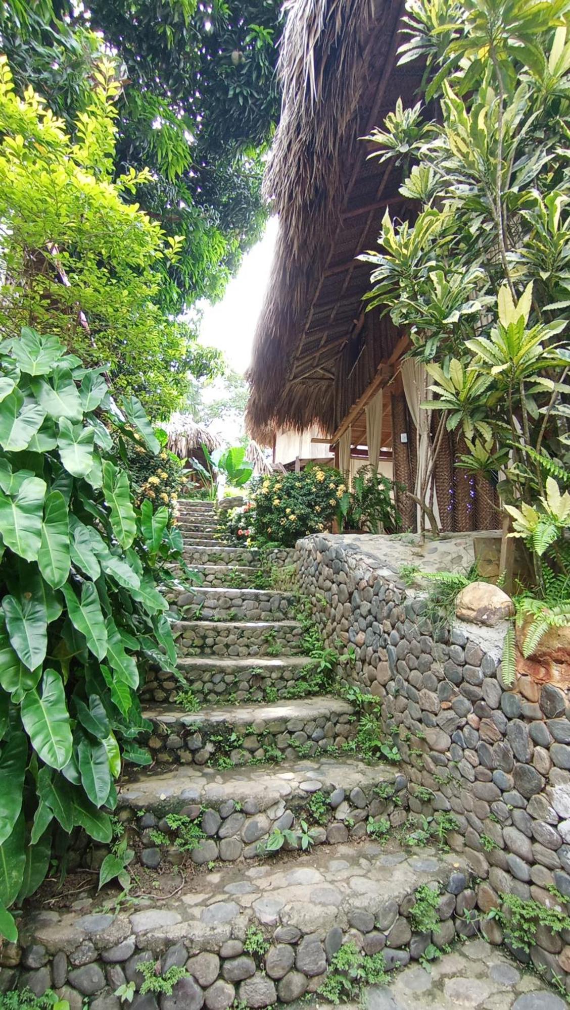 Ecocabanas Diosa Jaguar Tayrona La Esmeralda  Eksteriør bilde