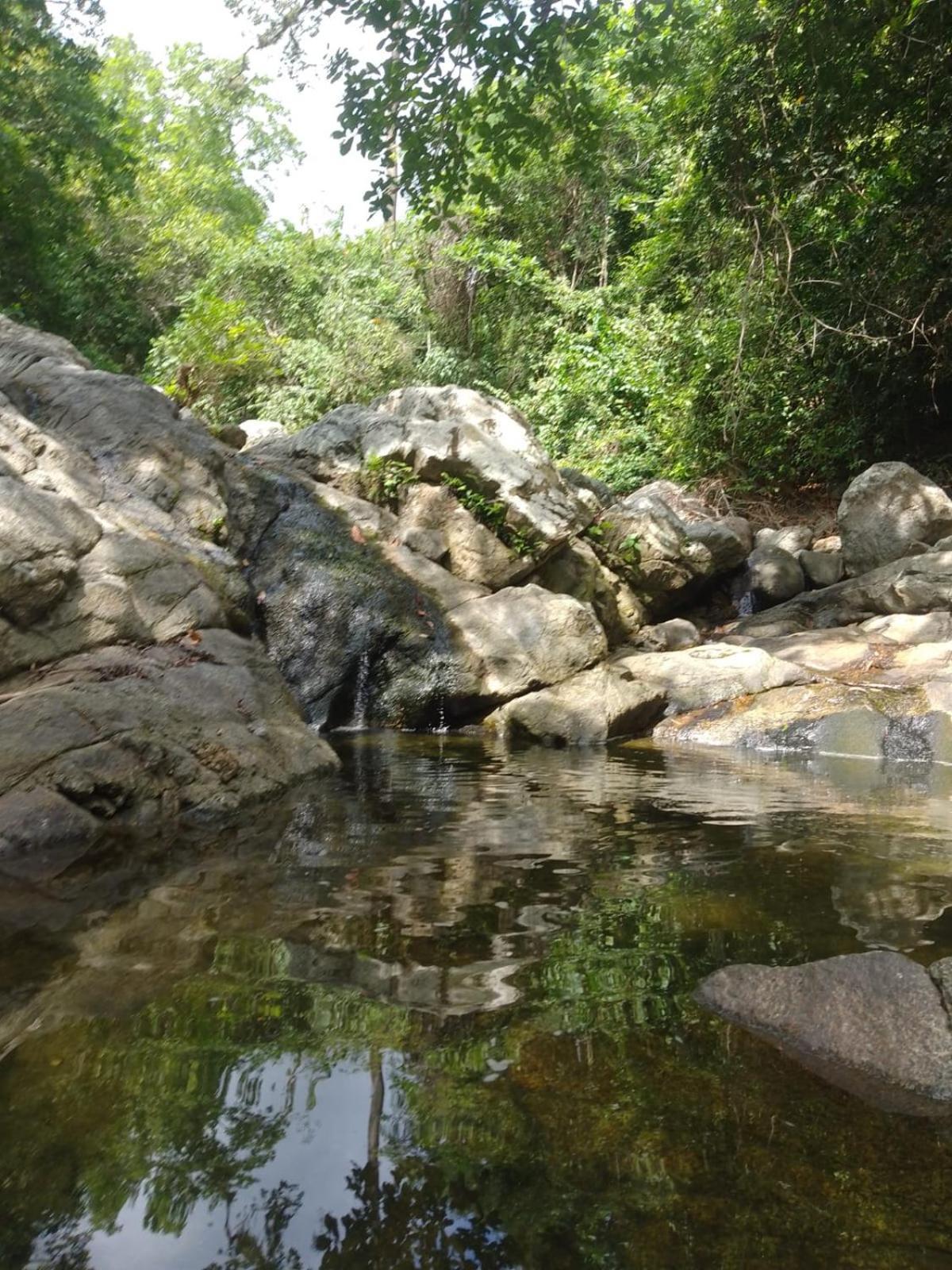 Ecocabanas Diosa Jaguar Tayrona La Esmeralda  Eksteriør bilde