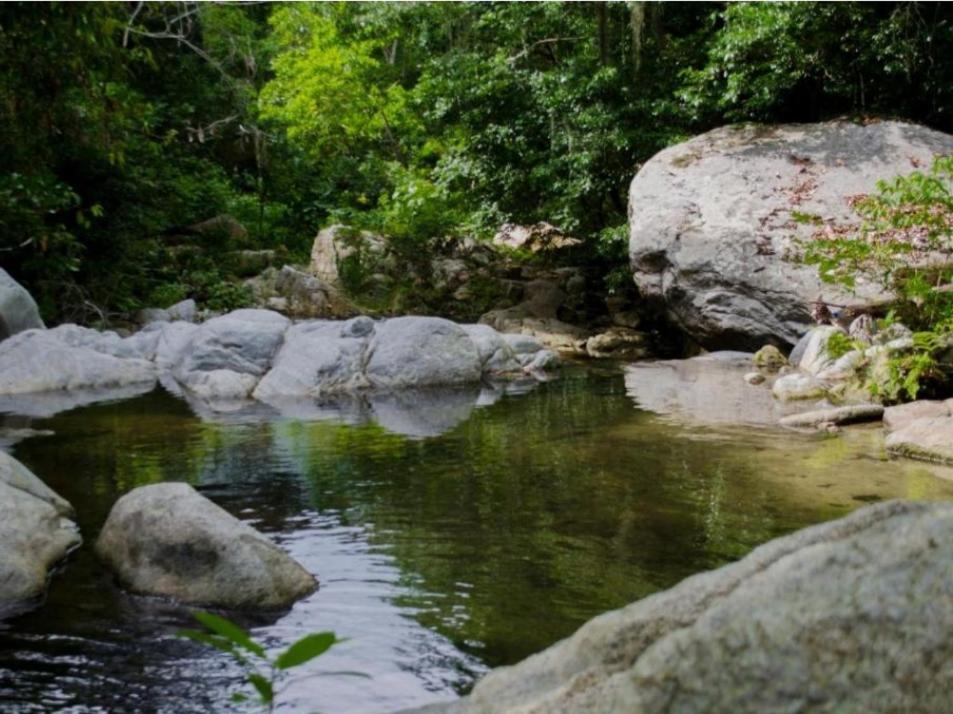 Ecocabanas Diosa Jaguar Tayrona La Esmeralda  Eksteriør bilde