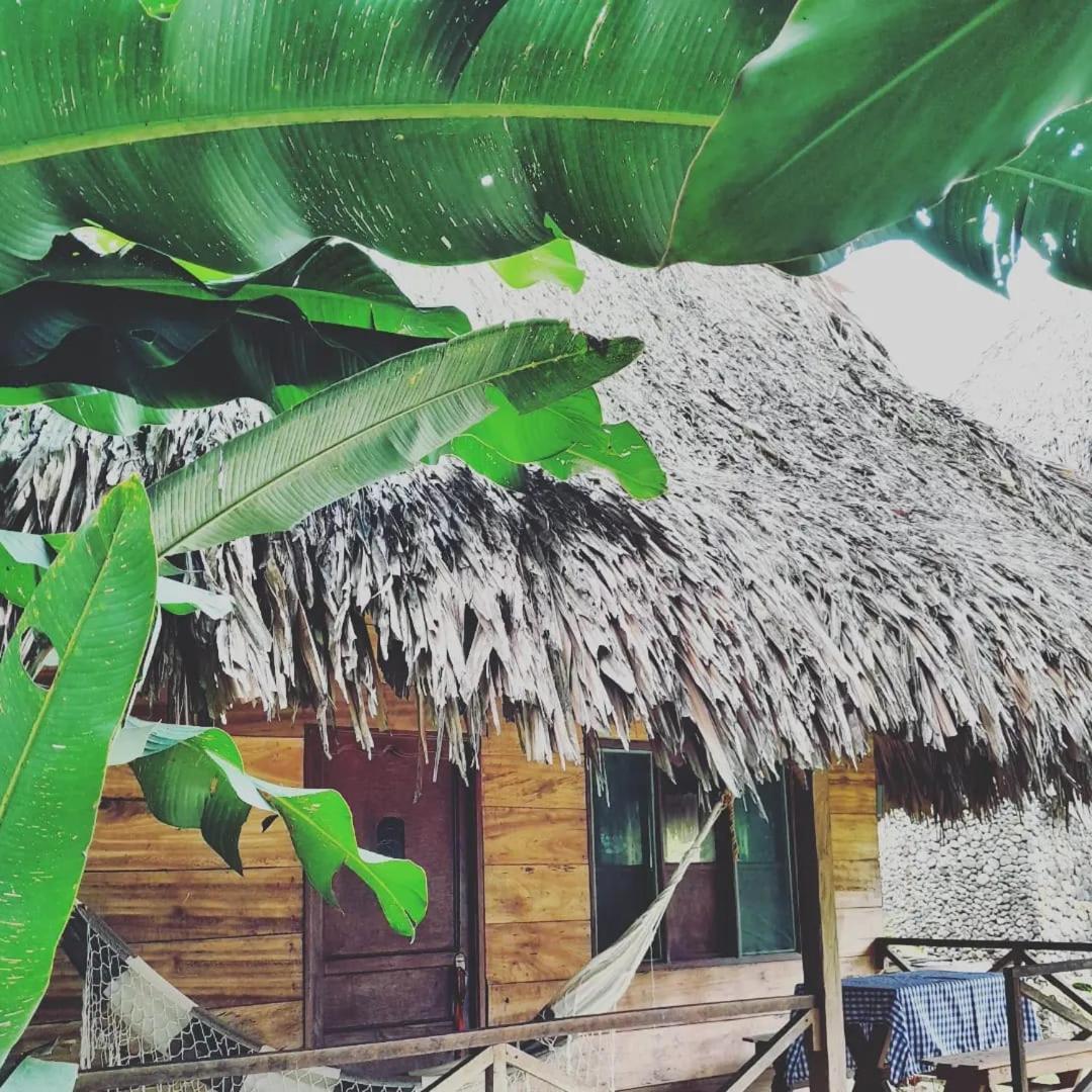 Ecocabanas Diosa Jaguar Tayrona La Esmeralda  Eksteriør bilde