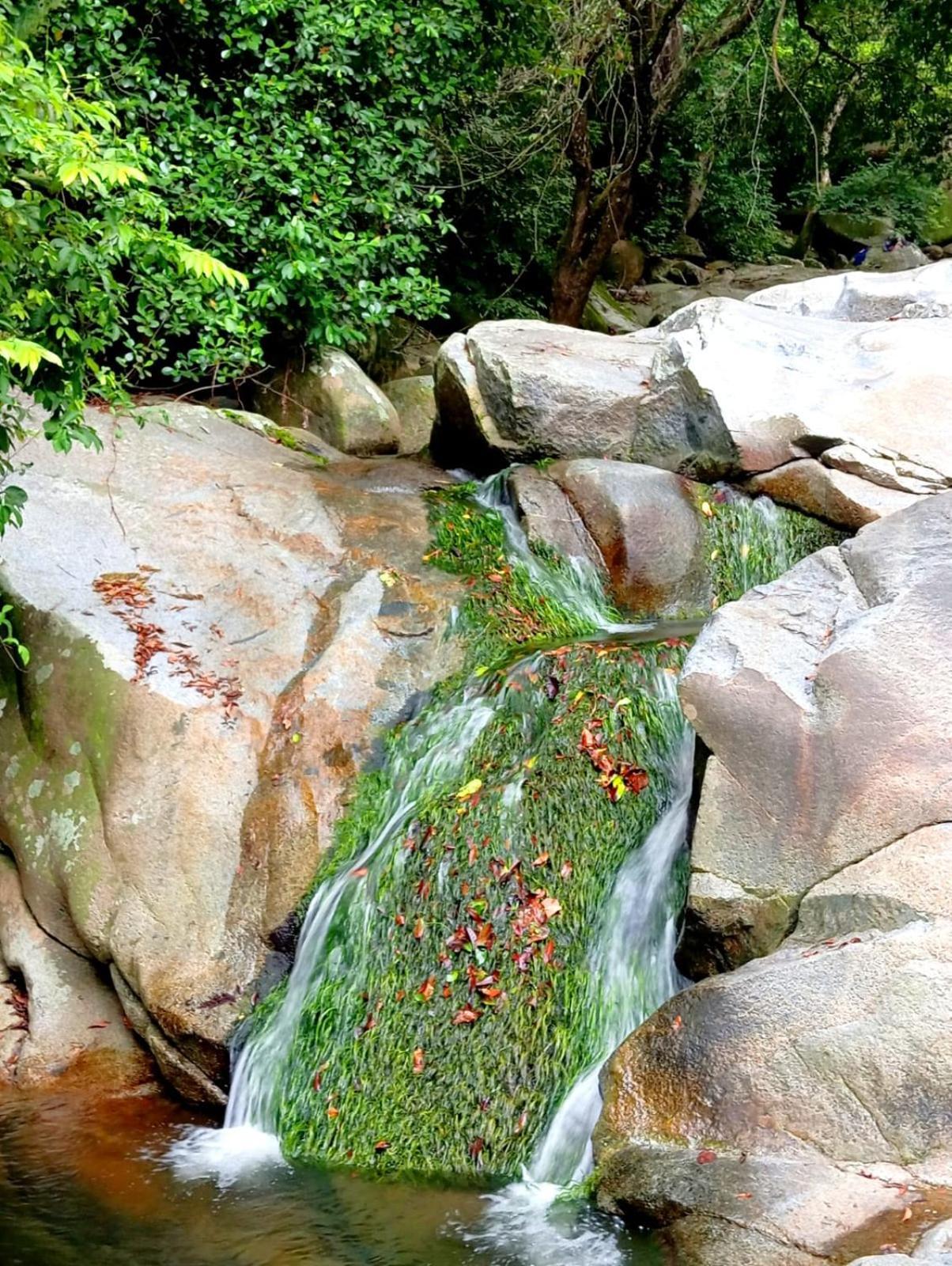 Ecocabanas Diosa Jaguar Tayrona La Esmeralda  Eksteriør bilde
