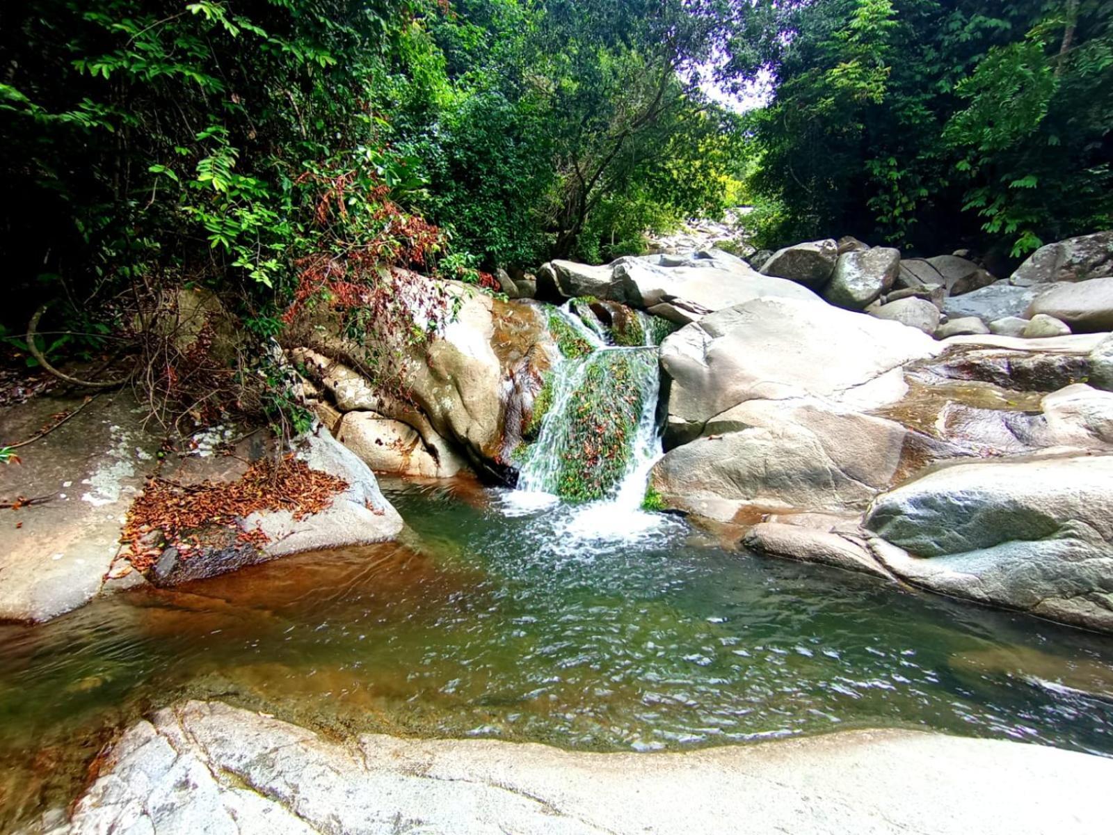 Ecocabanas Diosa Jaguar Tayrona La Esmeralda  Eksteriør bilde
