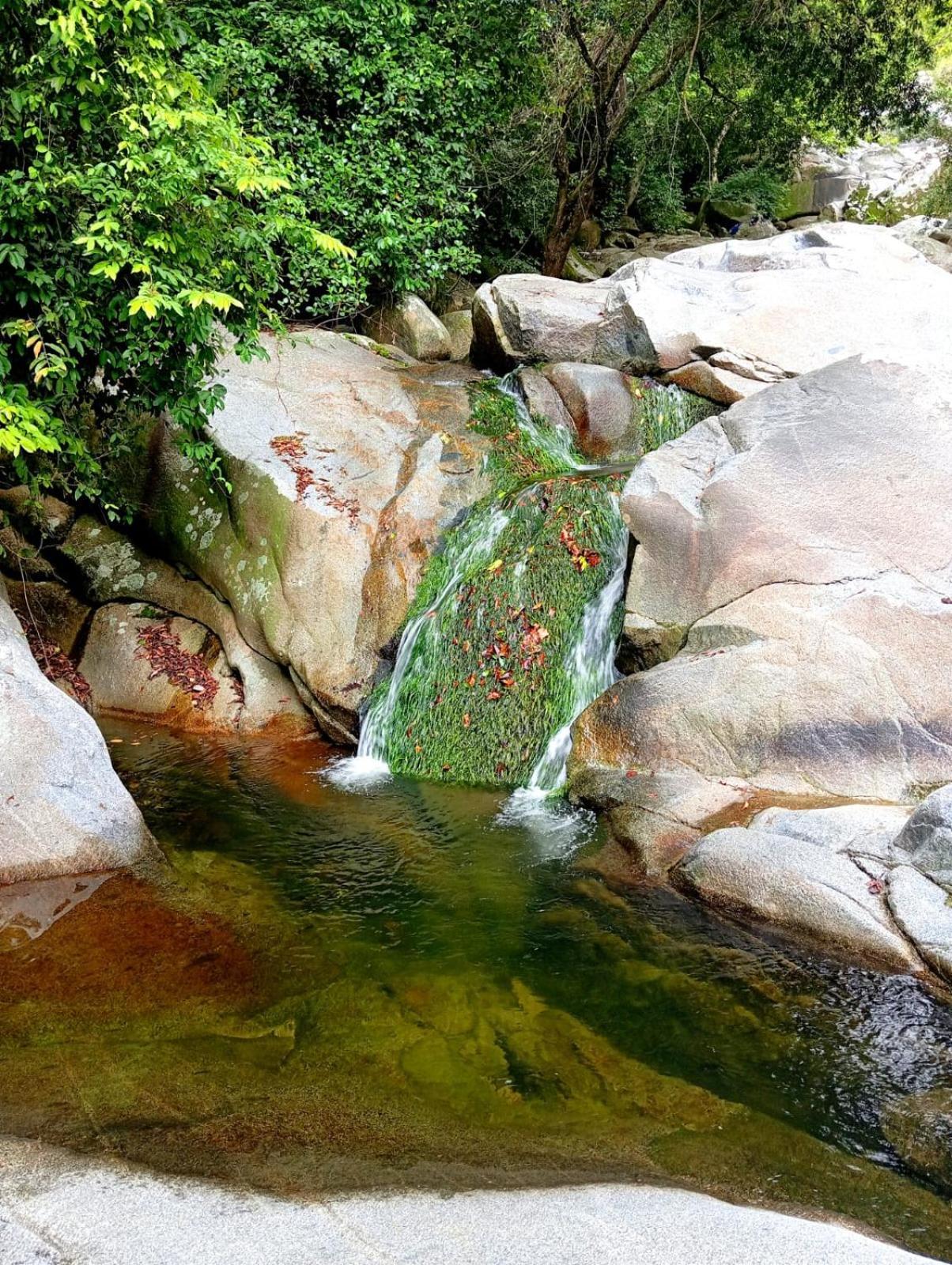Ecocabanas Diosa Jaguar Tayrona La Esmeralda  Eksteriør bilde